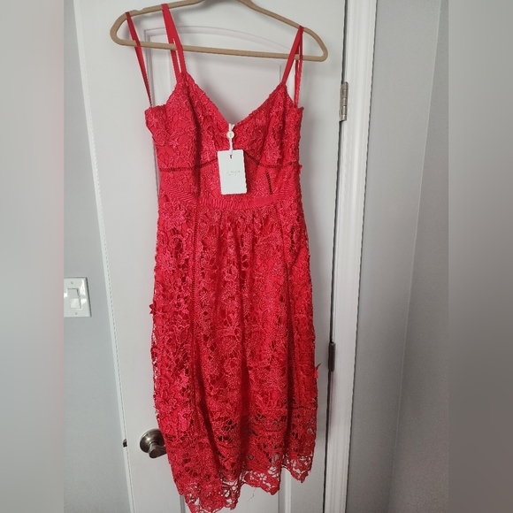 NWT Red Ted Baker Valens Mixed Lace Midi Dress Uk 2/US 6 - Picture 6 of 11